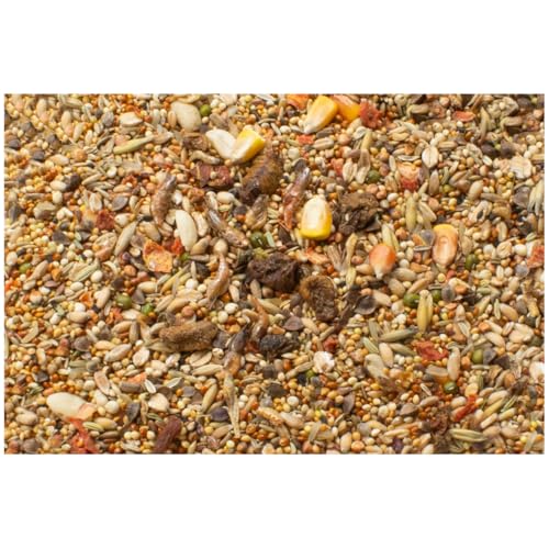 JR-Farm Hamster-Schmaus 600g - 2