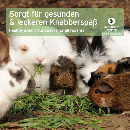 AniForte Natur Nagerfutter 10 Liter u.a. für Hamster, Meerschweinchen, Kaninchen, Chinchilla- Naturprodukt für Nager - 6