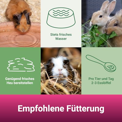 Panto Nagerfutter Universal mit Wisan-Lein, 1er Pack (1 x 25 kg) - 4