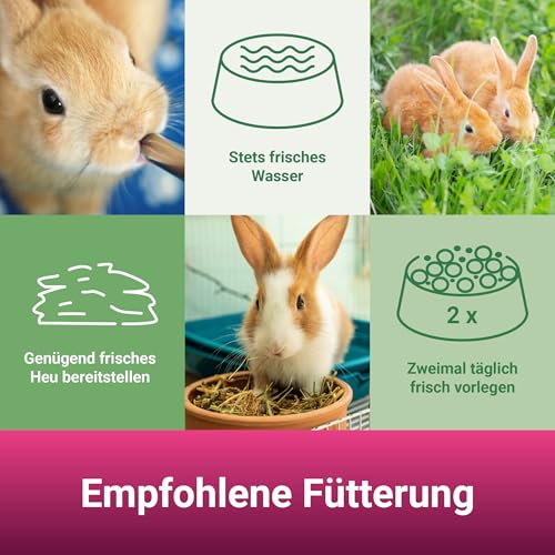 Panto Zwergkaninchenfutter 2.5 kg, 4er Pack (4 x 2.5 kg) - 4