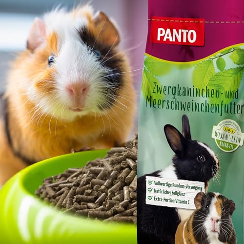 Panto Meerschweinchenfutter mit Vitamin C Pelettiert, 1er Pack (1 x 25 kg) - 3