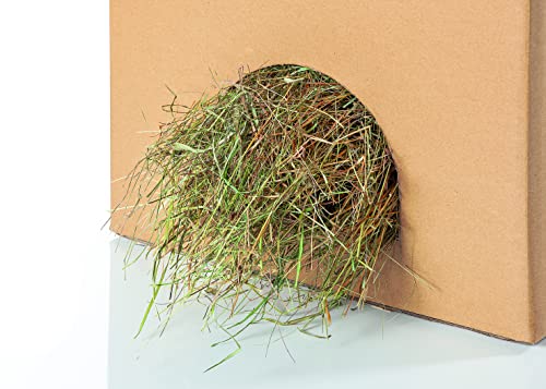 Heu Ernte 2016 Heuballen 15kg von Heu-Tom direkt ab Hof Futter Meerschweinchen Kaninchen - 6