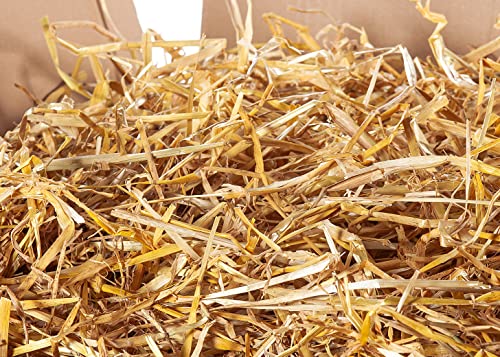 Gerstenstroh Ernte von Heu-Tom ® Strohballen ca. 15 kg, Einstreu Futter Meerschweinchen Hasen Kaninchen direkt vom Hof der Familie Emmerig - 6