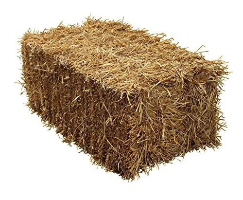 Gerstenstroh Ernte von Heu-Tom ® Strohballen ca. 15 kg, Einstreu Futter Meerschweinchen Hasen Kaninchen direkt vom Hof der Familie Emmerig - 7