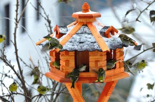 Vogelhaus, Vogelhäuschen behandelt mit Bitumschindeln und drei Gauben - 2