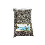 Wildvogelfutter Streupaket mit 5 Sorten Futter je 1kg - 3