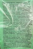 Versele Laga Vogelfutter für Wellensittiche 4 kg, 1er Pack (1 x 4 kg) - 2