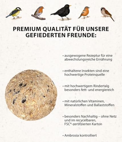 Dehner Natura Wildvogelfutter, Insekten-Knödel, ohne Netz, 100 Stück (10 kg) - 4