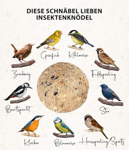 Dehner Natura Wildvogelfutter, Insekten-Knödel, ohne Netz, 100 Stück (10 kg) - 6