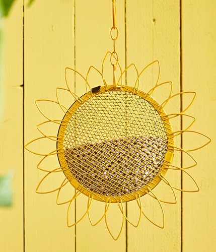 Dehner Natura Wildvogelfutter, geschälte Sonnenblumenkerne, 10 kg - 2
