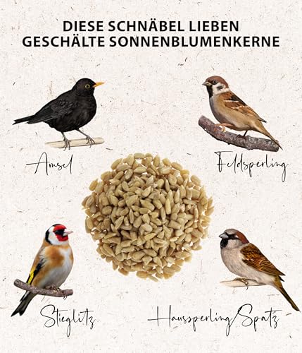 Dehner Natura Wildvogelfutter, geschälte Sonnenblumenkerne, 10 kg - 3