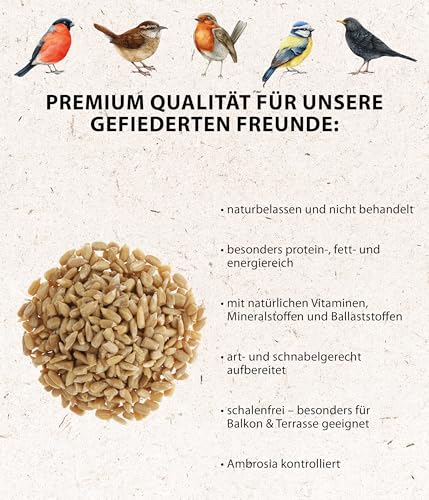 Dehner Natura Wildvogelfutter, geschälte Sonnenblumenkerne, 10 kg - 4