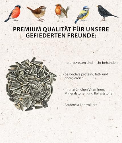 Dehner Natura Wildvogelfutter, Sonnenblumenkerne, 20 kg - 2