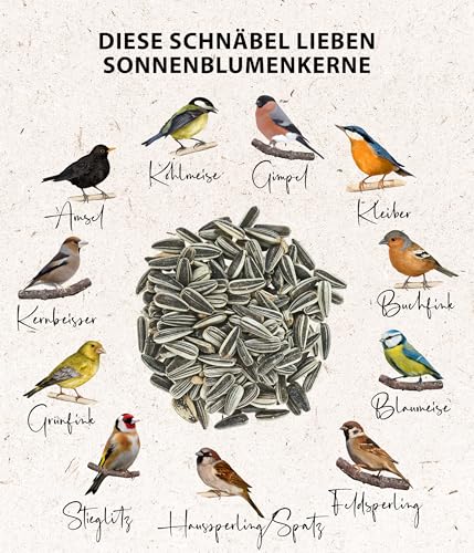 Dehner Natura Wildvogelfutter, Sonnenblumenkerne, 20 kg - 3