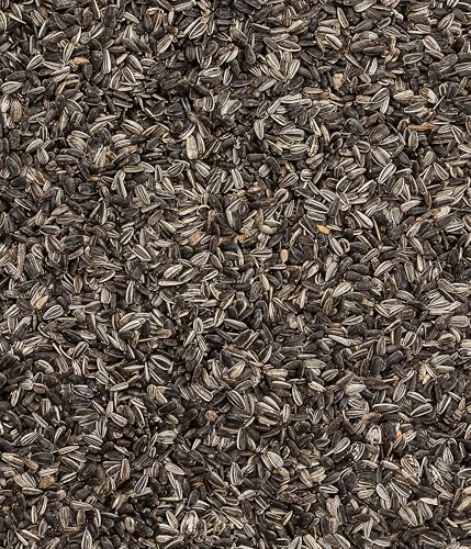 Dehner Natura Wildvogelfutter, Sonnenblumenkerne, 20 kg - 7
