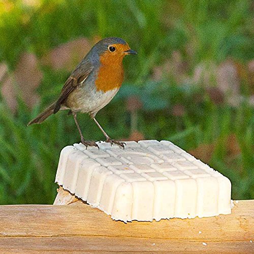 CJ Wildlife 103540715 Energieblock für Rotkelchen und andere Wildvögel „mit Mehlwürmer“ 300 g – empfohlen vom NABU und dem LBV - 2