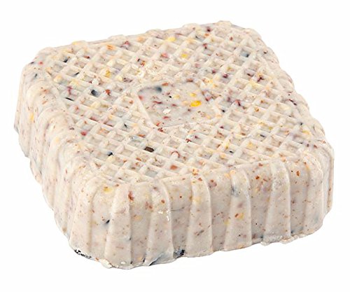 CJ Wildlife 103540715 Energieblock für Rotkelchen und andere Wildvögel „mit Mehlwürmer“ 300 g – empfohlen vom NABU und dem LBV - 3