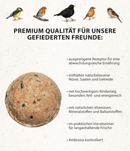 Dehner Natura Wildvogelfutter, Meisenknödel, mit Netz, 100 Stück (10 kg) - 3