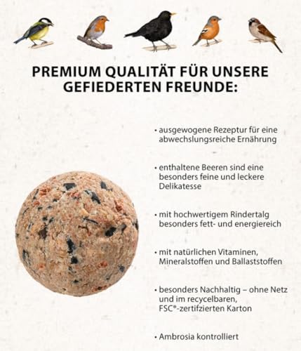 Dehner Natura Wildvogelfutter, Beeren-Knödel ohne Netz, 100 Stück (10 kg) - 4