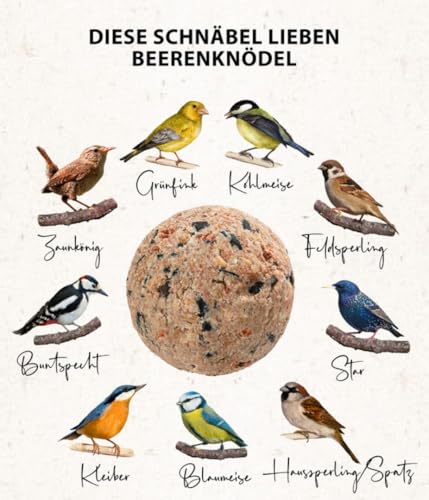 Dehner Natura Wildvogelfutter, Beeren-Knödel ohne Netz, 100 Stück (10 kg) - 6