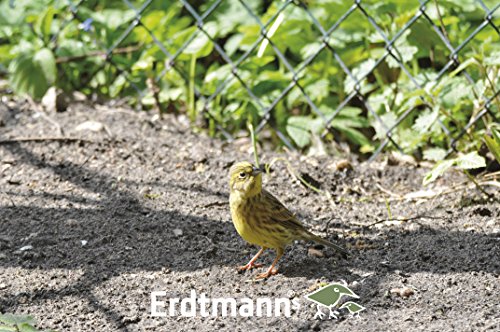 Erdtmanns Sommer-Streufutter im Eimer, 1er Pack (1 x 5 kg) - 3