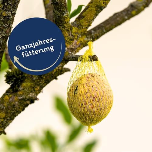 100 stk =9 kg Meisenknödel mit Netz Wildvogelfutter Ganzjahresknödel Fettfutter - 3