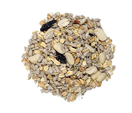 Erdtmanns schalenloses Streufutter plus, 1er Pack (1 x 800 g) - 2