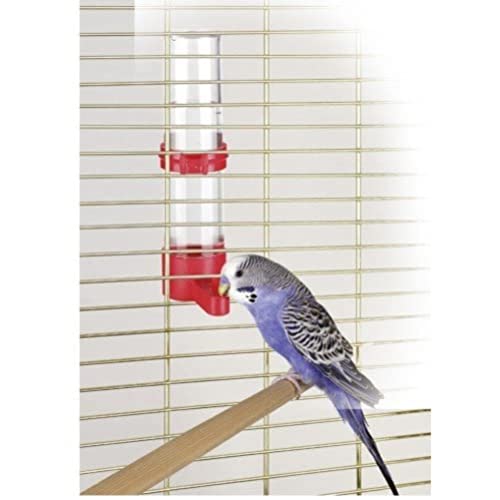 Kerbl Wasser Feeder