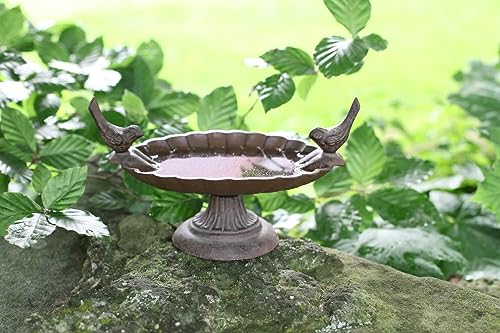 Vogelbad, Vogeltränke ‚Wildvögel‘ - 2