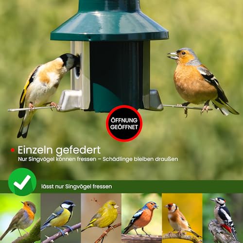 Eichhörnchensichere Vogelfutterstation Roamwild Pest-Off-Futterstation für Erdnüsse - 3