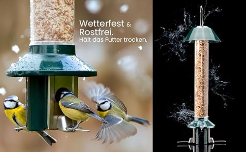 Eichhörnchensichere Vogelfutterstation Roamwild Pest-Off-Futterstation für Erdnüsse - 7