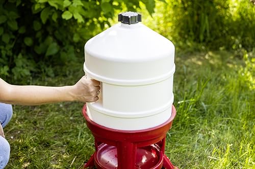 Kerbl Geflügeltränke 30 L Gold - 5