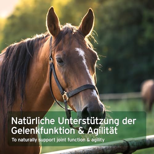 AniForte Teufelskralle Gelenk-Akut 1 kg- Naturprodukt für Pferde - 5