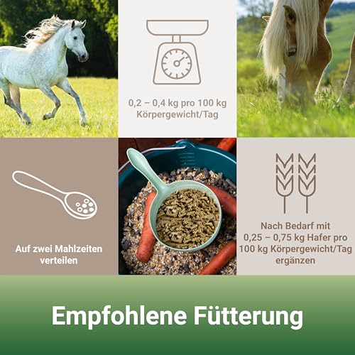 Panto Formel E (pelettiert, mineralisiert, vitaminiert) - 4