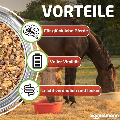 Eggersmann Senior Müsli Wellness EMH für Pferde, 1-er Pack (1 x 20 kg) - 3