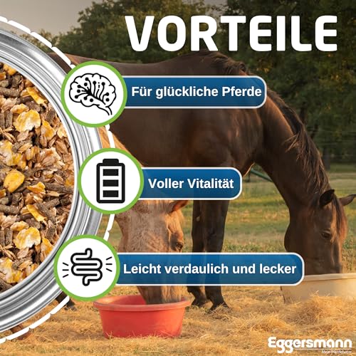 Eggersmann Cool Müsli Wellness EMH für Pferde, 1-er Pack (1 x 20 kg) - 3