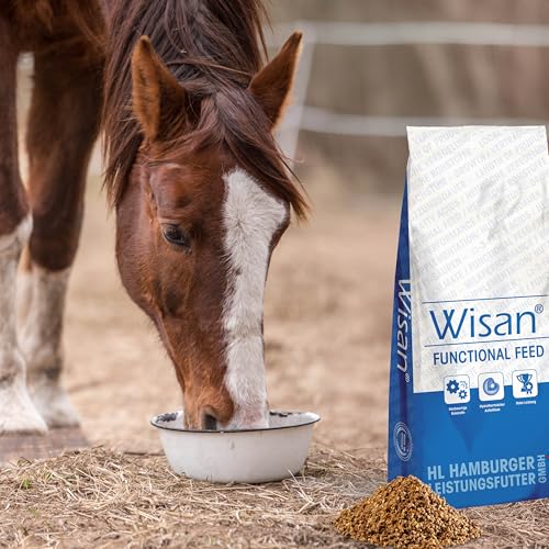 Panto-Wisan-Mais-Pferde-25kg - 3