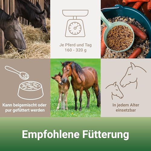 Panto-Wisan-Mais-Pferde-25kg - 4