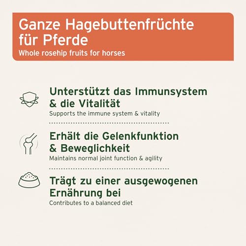 AniForte Hagebutten ganze Früchte naturrein 1 kg glutenfrei Vitamin C hoher Fruchtgehalt – Naturprodukt für Tiere - 3