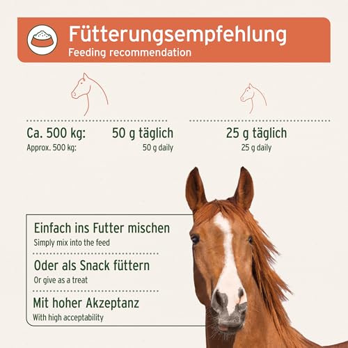 AniForte Hagebutten ganze Früchte naturrein 1 kg glutenfrei Vitamin C hoher Fruchtgehalt – Naturprodukt für Tiere - 5