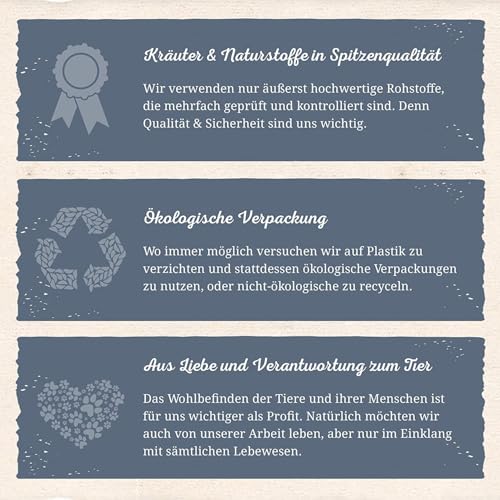 Bronchial Kräuter No. 1 für Pferde – 1000 g – Unterstützend bei Husten, Verschleimung Schnupfen & Atemwegsinfekten – Pferdekräuter - 4