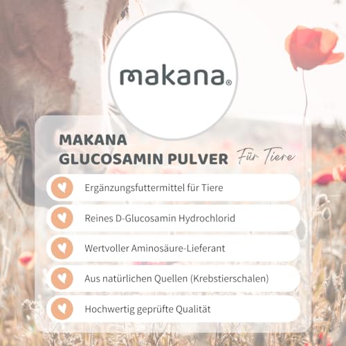Makana ® Glucosamin HCL Pulver, 500 g Beutel (1 x 0,5 kg) - 2