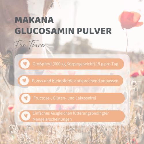 Makana ® Glucosamin HCL Pulver, 500 g Beutel (1 x 0,5 kg) - 3