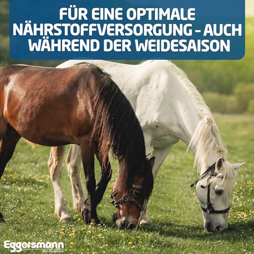 Eggersmann Mineral Bricks für Pferde, 1-er Pack (1 x 4 kg) - 4