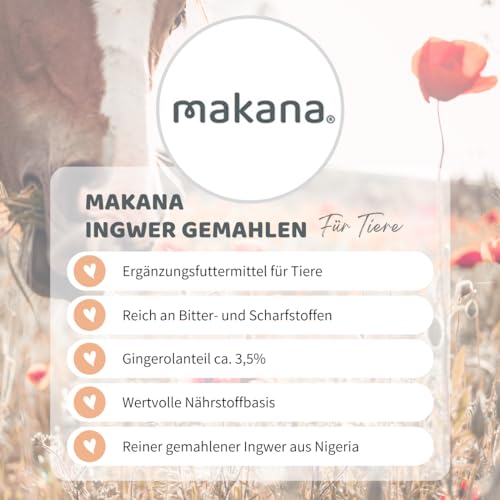 Makana ® Ingwer gemahlen aus Nigeria, 1000 g Beutel (1 x 1 kg) - 2