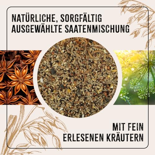 AniForte Hühnertraum Gesunde Belohnung 2,5 kg – Naturprodukt für Hühner - 2