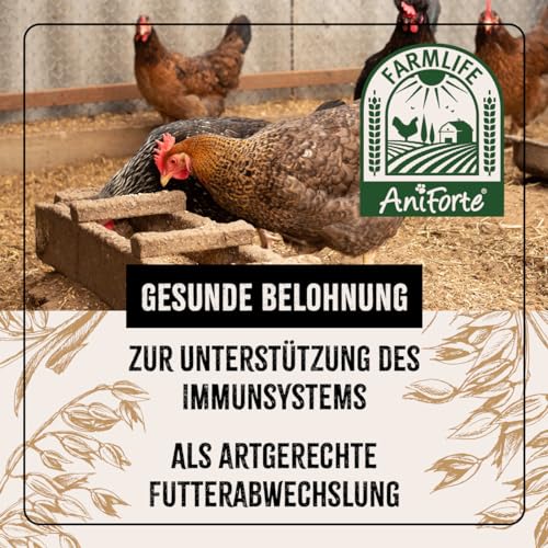 AniForte Hühnertraum Gesunde Belohnung 2,5 kg – Naturprodukt für Hühner - 3
