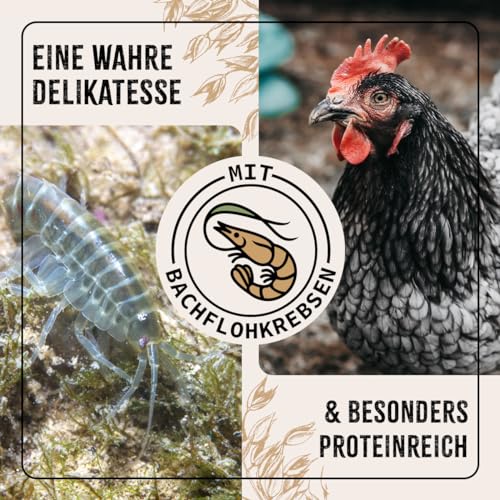 AniForte Hühnertraum Gesunde Belohnung 2,5 kg – Naturprodukt für Hühner - 4
