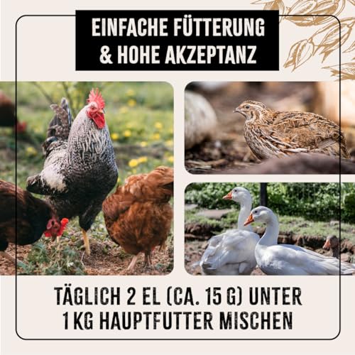 AniForte Hühnertraum Gesunde Belohnung 2,5 kg – Naturprodukt für Hühner - 5