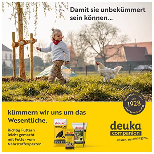 Deuka Legemehl für Legehennen 25 kg - 3